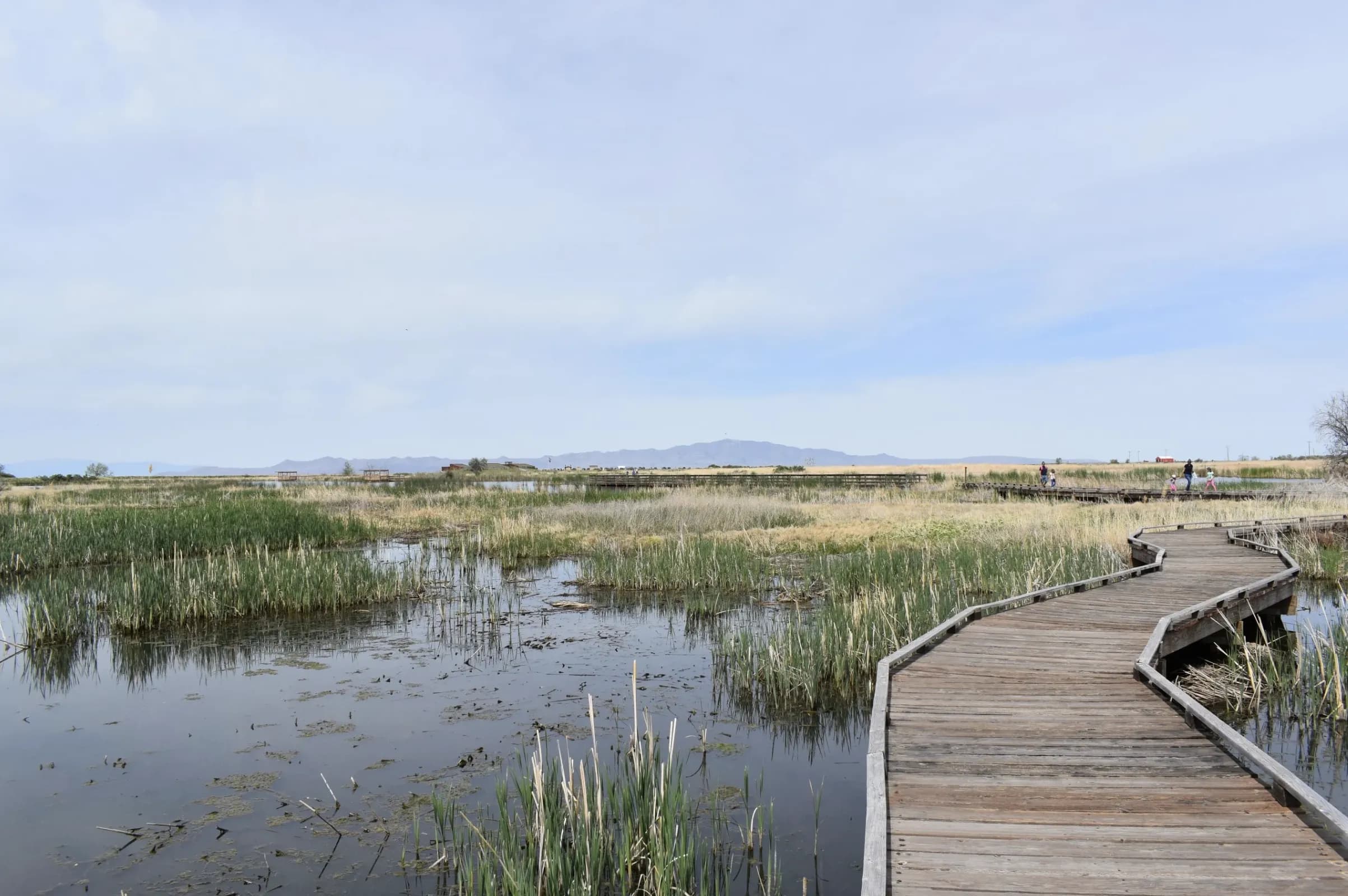 Farmington Bay Waterfowl Management Area on the Great Salt Lake